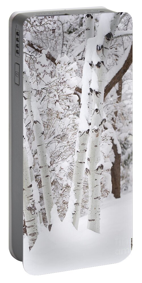 Aspen Portable Battery Charger featuring the photograph Aspen Snow by Bon and Jim Fillpot
