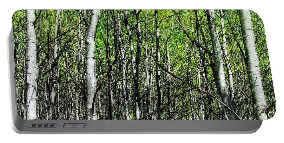 Aspen Portable Battery Charger featuring the photograph Aspen Trees by Anthony Wilkening