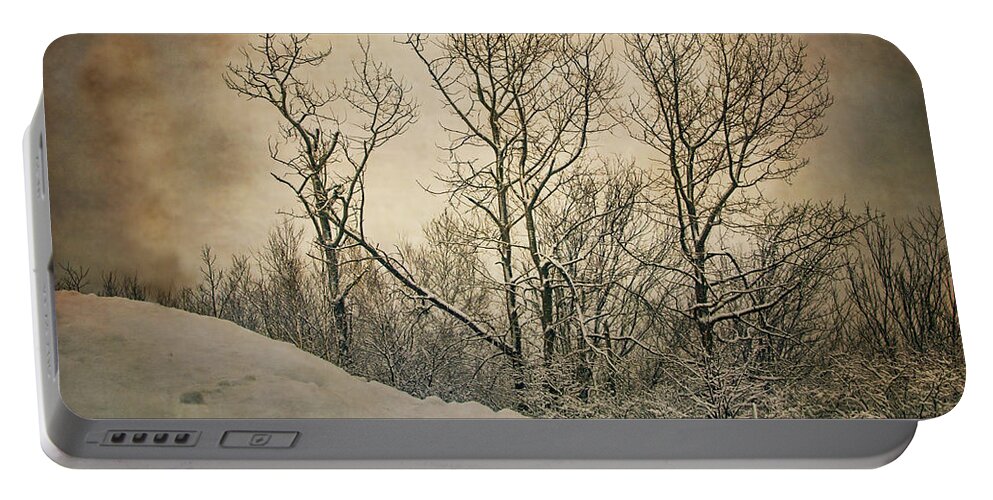 Trees Portable Battery Charger featuring the photograph At The End Of The Road by Sue Capuano