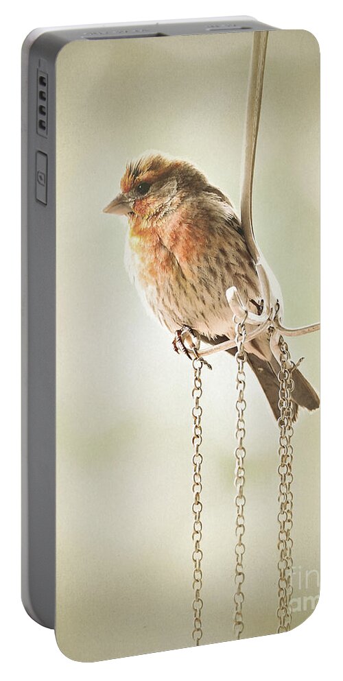 Birds Portable Battery Charger featuring the photograph Atticus by Parrish Todd
