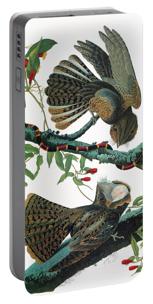 1827 Portable Battery Charger featuring the painting Audubon Chuck-will's Widow by Granger