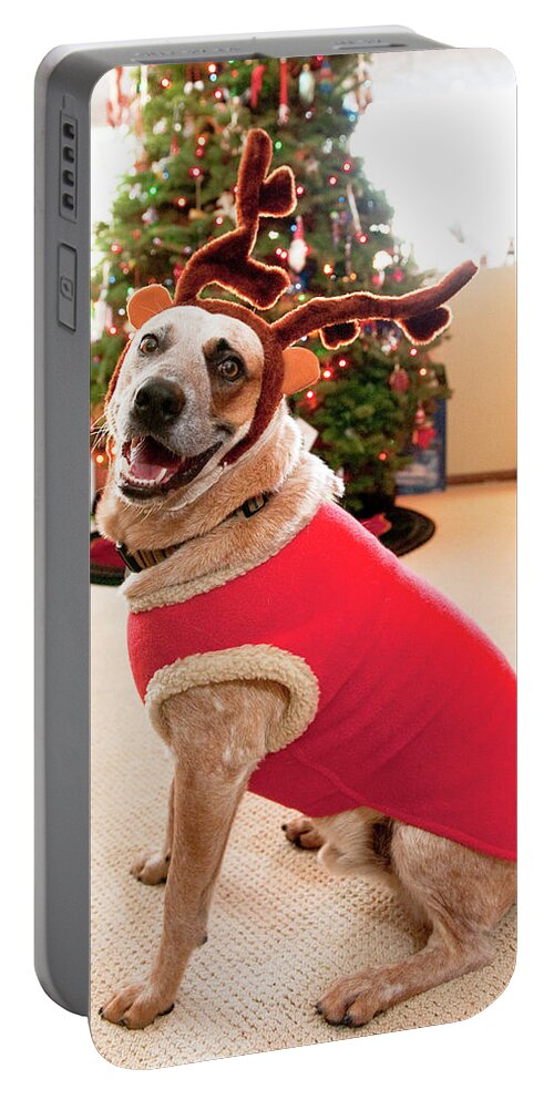 Animal Portable Battery Charger featuring the photograph Auggie The Dog With Reindeer Outfit by Kevin Steele