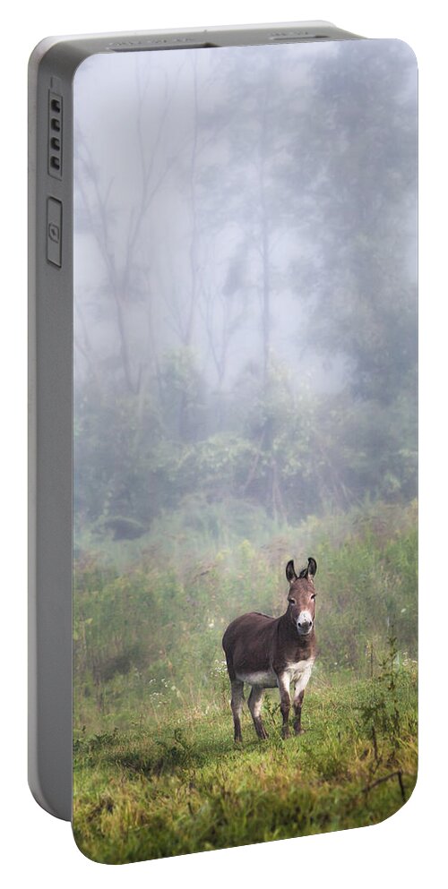 Animals Portable Battery Charger featuring the photograph August morning - Donkey in the field. by Gary Heller