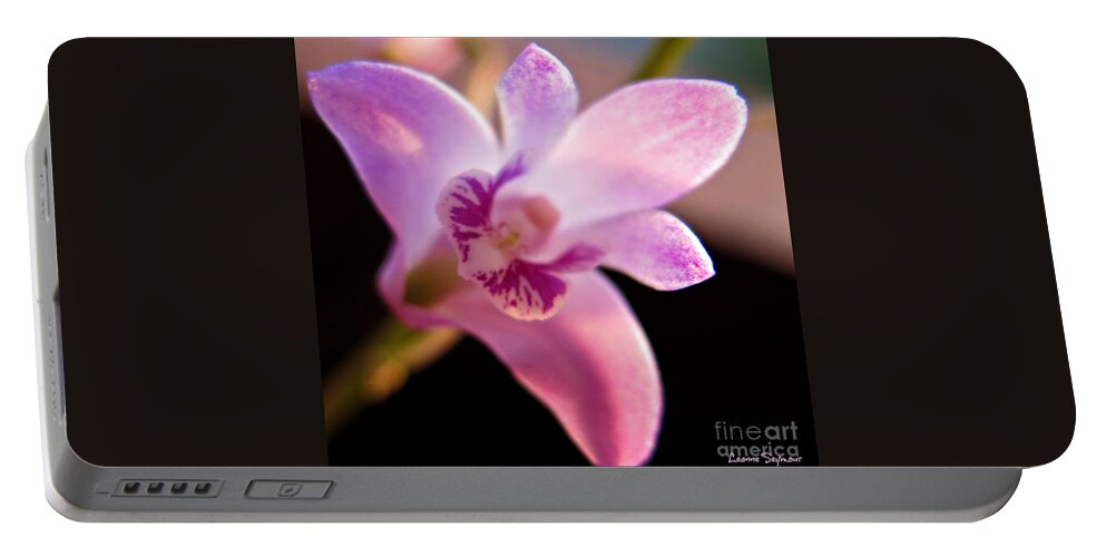 Bush Portable Battery Charger featuring the photograph Australian Bush Orchid by Leanne Seymour