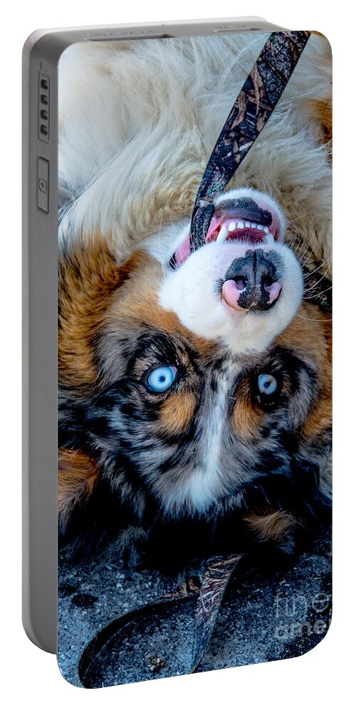 Teeth Portable Battery Charger featuring the photograph Australian Shepherd by Cheryl Baxter