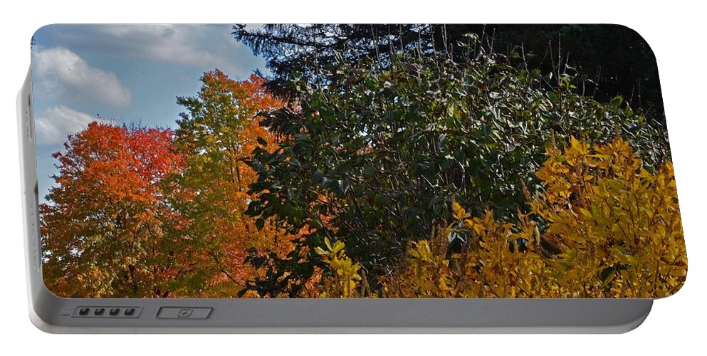 Trees Portable Battery Charger featuring the photograph Autumn Beauty by Judy Wolinsky