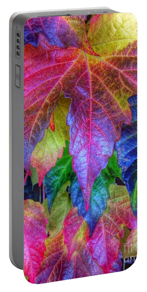 Autumn Bold Portable Battery Charger featuring the photograph Autumn Bold by Susan Garren