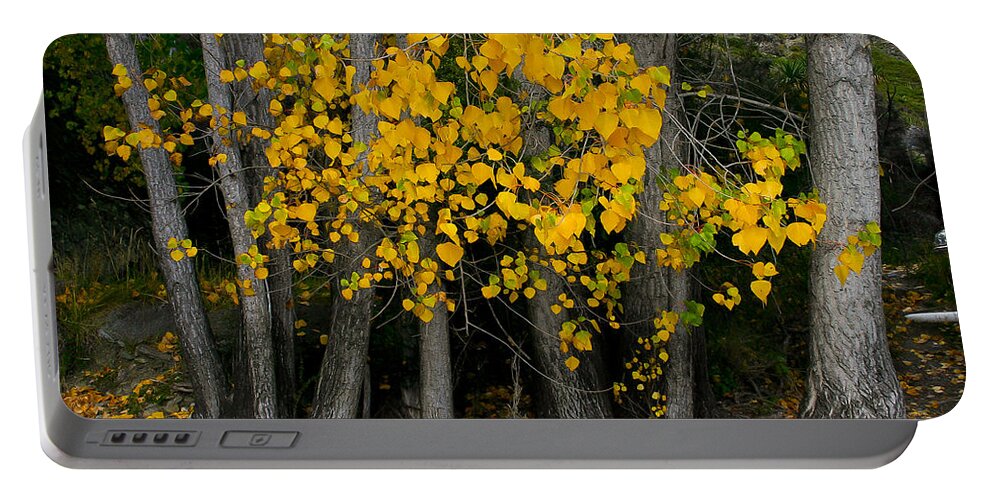 Autumn Portable Battery Charger featuring the photograph Autumn breakout by Jenny Setchell