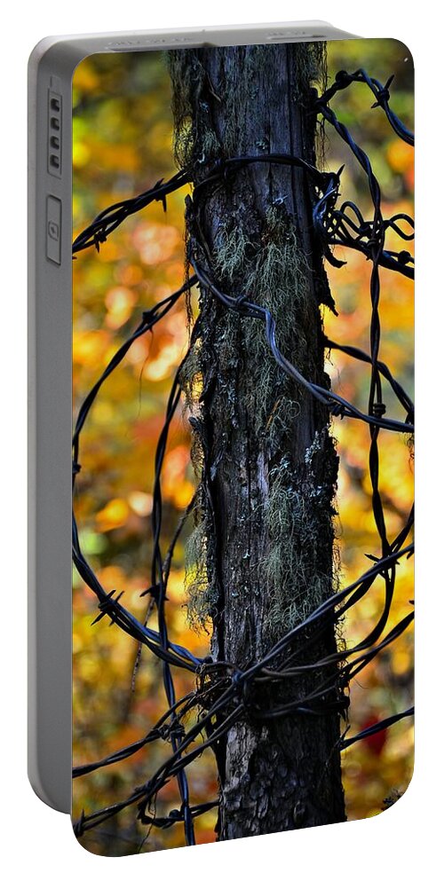 Abstract Portable Battery Charger featuring the photograph Autumn Colors 1 by Newel Hunter