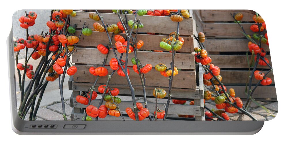 Tomato Portable Battery Charger featuring the photograph Autumn Decorations by Jackson Pearson