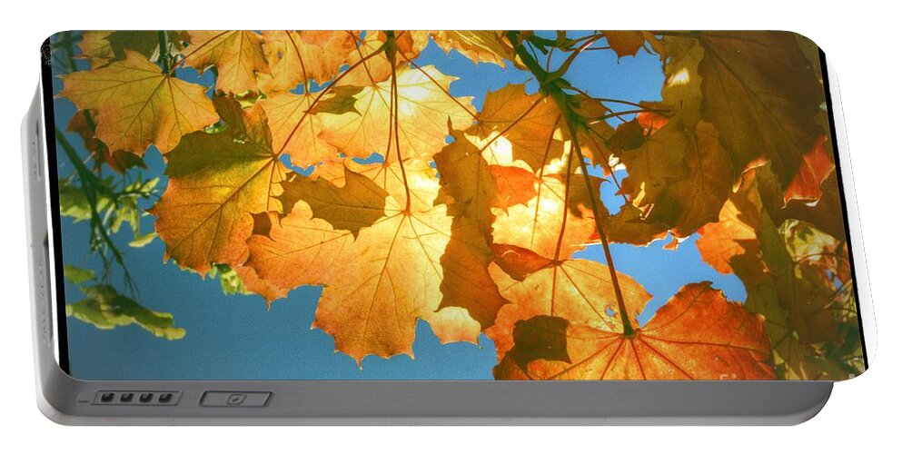 Autumn Portable Battery Charger featuring the photograph Autumn Found by Spikey Mouse Photography