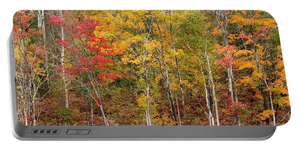 Autumn Portable Battery Charger featuring the photograph Autumn in Muskoka by Les Palenik