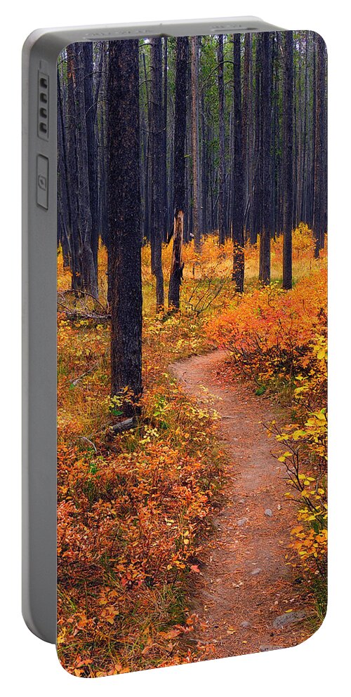 Yellowstone Portable Battery Charger featuring the photograph Autumn in Yellowstone by Raymond Salani III