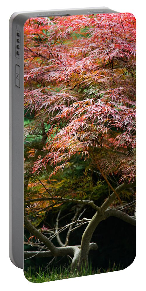 Autumn Portable Battery Charger featuring the photograph Autumn Is Here by Parker Cunningham