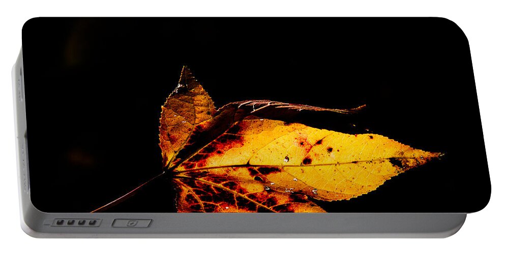 Leaf Portable Battery Charger featuring the photograph Autumn Leaf by David Kay