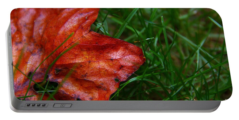 Landscape Portable Battery Charger featuring the photograph Autumn Leaf by Melissa Petrey
