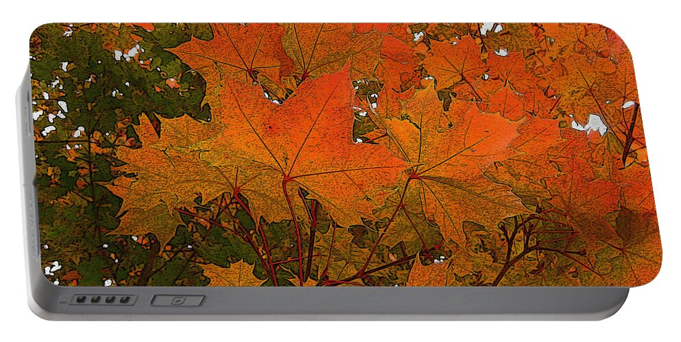 Season Portable Battery Charger featuring the photograph Autumn Leaves by Kathy Bassett