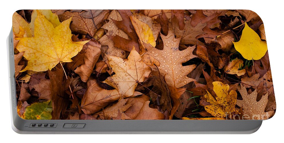 Red Portable Battery Charger featuring the photograph Autumn Leaves by Matt Malloy