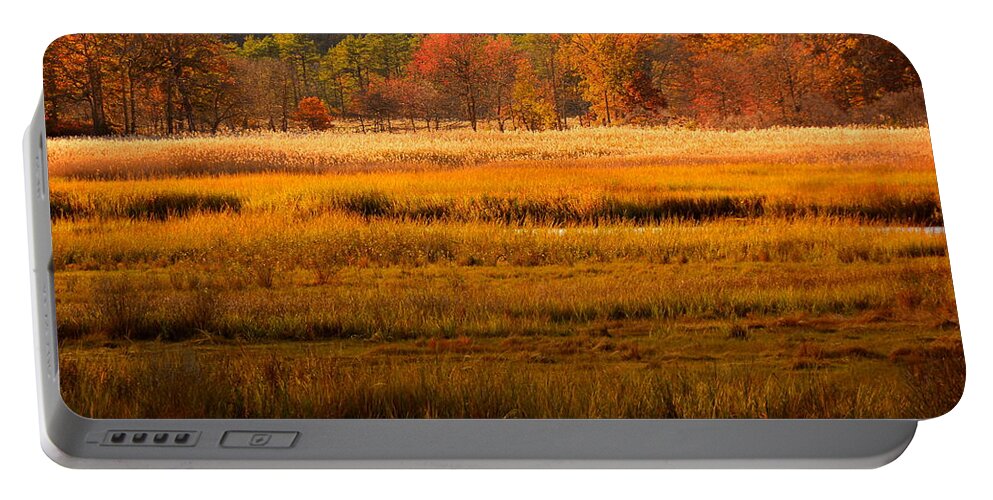 Cheesequake Portable Battery Charger featuring the photograph Autumn Marsh by Raymond Salani III