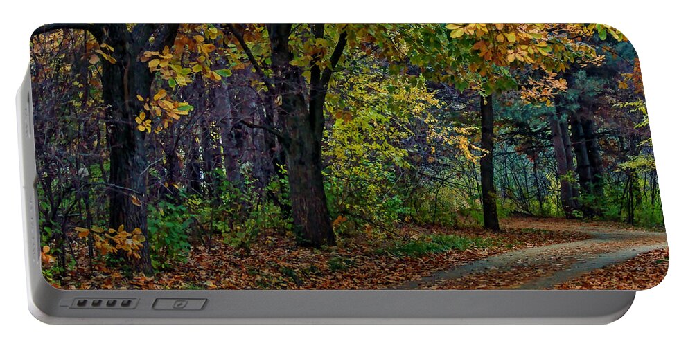 Autumn Portable Battery Charger featuring the photograph Autumn Path by Nikolyn McDonald