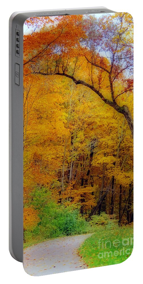 Autumn Portable Battery Charger featuring the photograph Autumn Peak Colors by Kay Novy