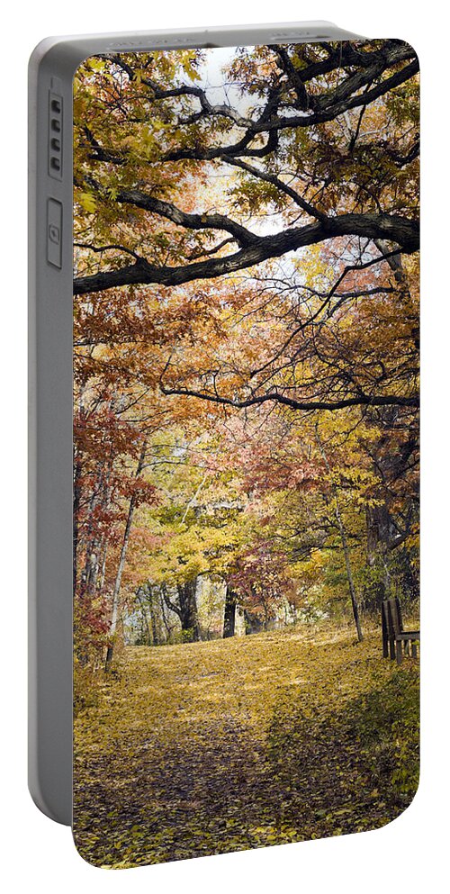 Autumn Portable Battery Charger featuring the photograph Autumn Pedestrian Path by Lynn Hansen