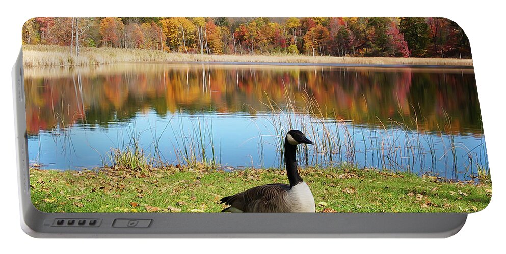 Autumn Portable Battery Charger featuring the photograph Autumn Pond Goose by Aimee L Maher ALM GALLERY