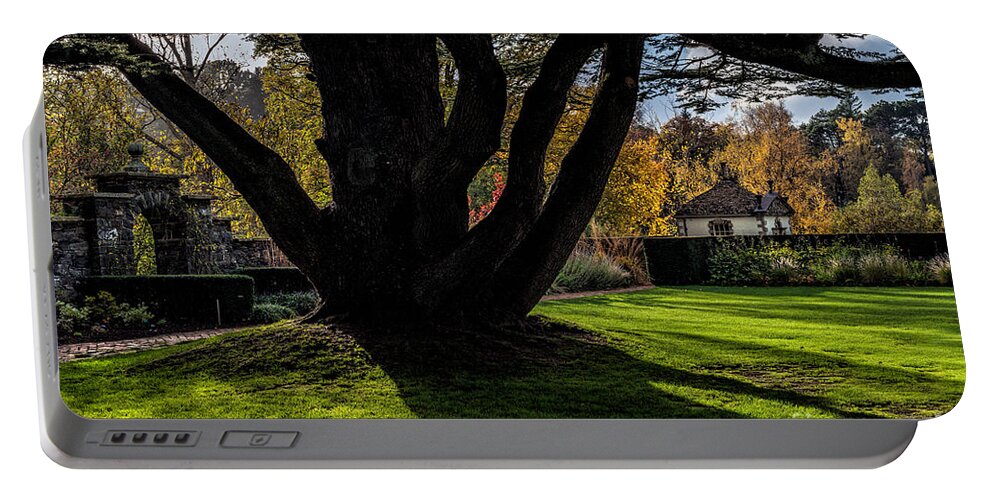 Autumn Portable Battery Charger featuring the photograph Autumn Shadows by Adrian Evans