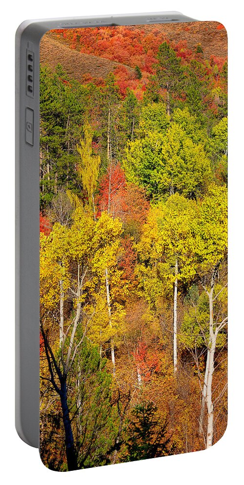 Autumn Portable Battery Charger featuring the photograph Autumn Splendor by Greg Norrell