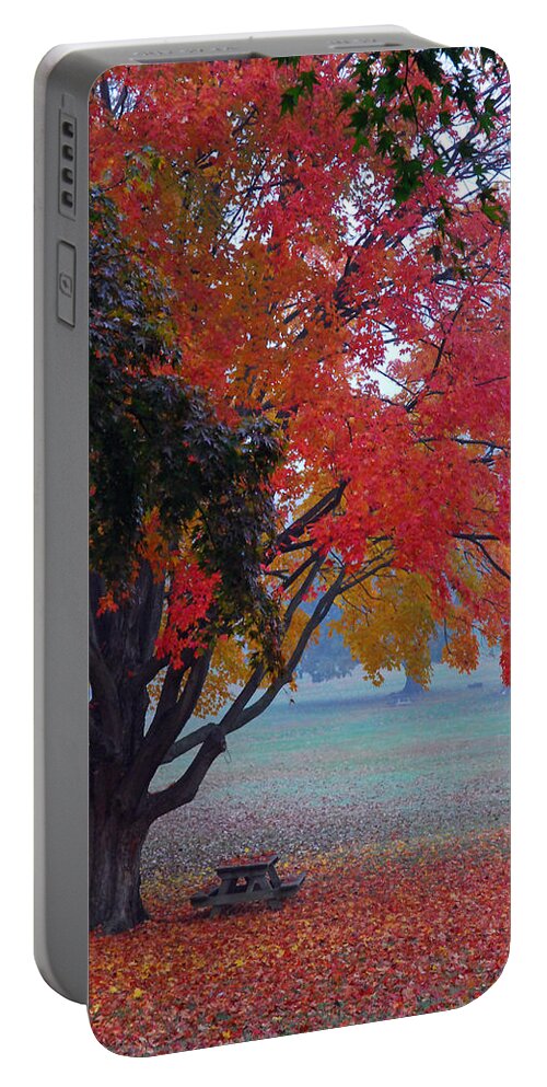 Autumn Splendor Portable Battery Charger featuring the photograph Autumn Splendor by Lisa Phillips