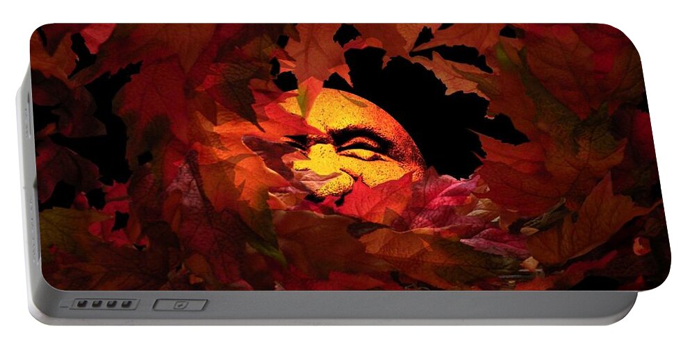 Autumn Portable Battery Charger featuring the photograph Autumn Sun by Micki Findlay