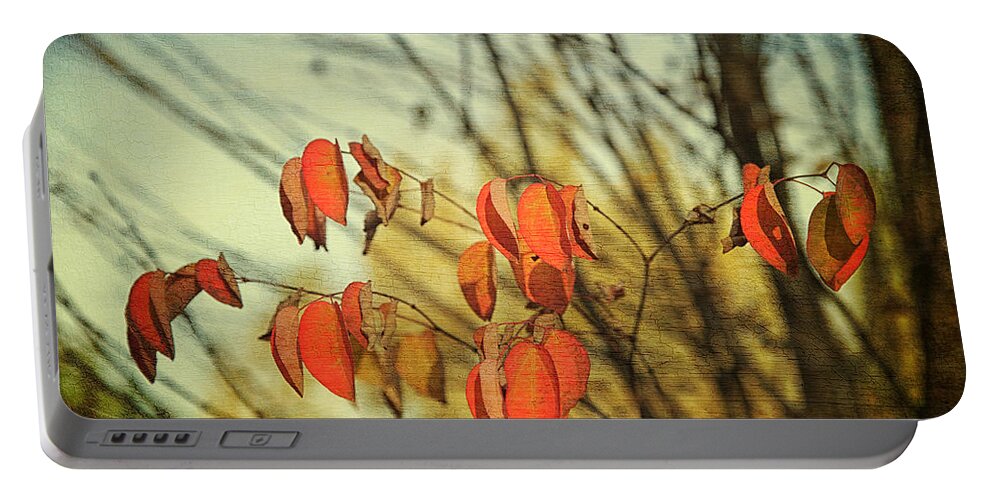 Autumn Portable Battery Charger featuring the photograph Autumn by Theresa Tahara