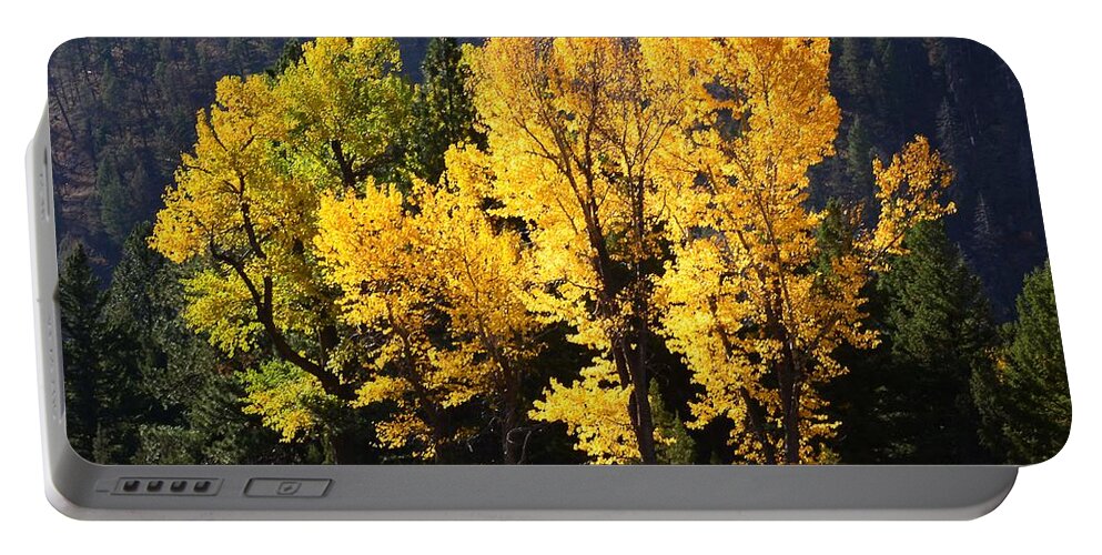 Newel Hunter Portable Battery Charger featuring the photograph Autumn Wonder by Newel Hunter