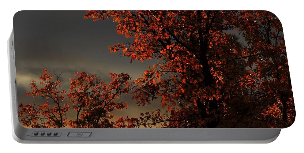Autumn Portable Battery Charger featuring the photograph Autumn's First Light by James Eddy