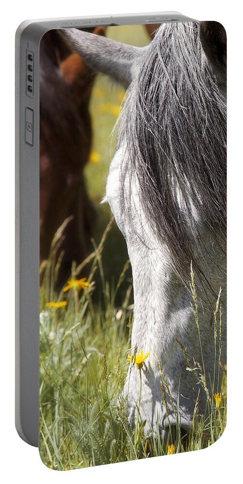Powder Horn Ranch Portable Battery Charger featuring the photograph Autumn's Graze by Amanda Smith