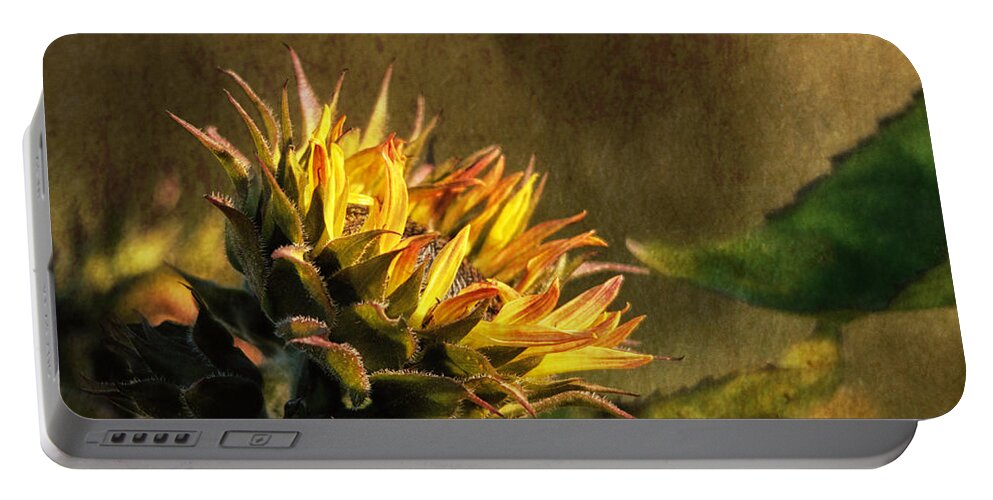 Sunflower Portable Battery Charger featuring the photograph Autumns Touch by Sue Capuano