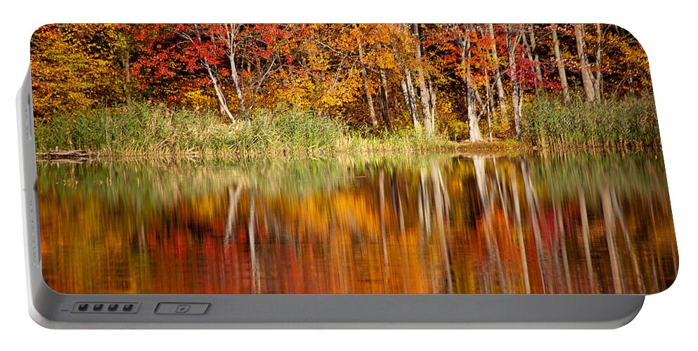 Fall Portable Battery Charger featuring the photograph Autumns True Colors by Karol Livote