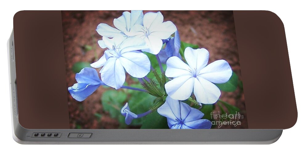 Flower Portable Battery Charger featuring the photograph Azure Aura by Jamie Johnson