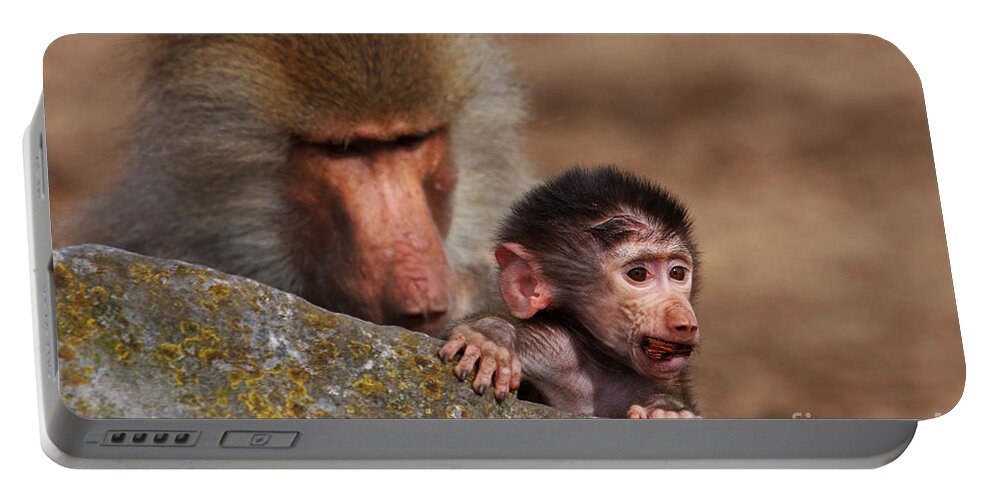 https://render.fineartamerica.com/images/rendered/default/flat/battery/images-medium-5/baboon-with-baby-behind-a-rock-nick-biemans.jpg?&targetx=0&targety=-82&imagewidth=864&imageheight=575&modelwidth=864&modelheight=410&backgroundcolor=8F6E50&orientation=1&producttype=battery-5200