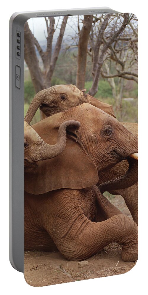 Feb0514 Portable Battery Charger featuring the photograph Baby Orphans Explore Imenti Tsavo Kenya by Gerry Ellis