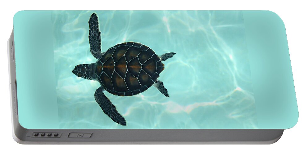 Swimming Baby Sea Turtle Portable Battery Charger featuring the photograph Baby Sea Turtle by Ellen Henneke