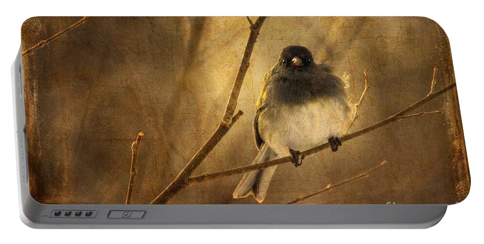 Bird Portable Battery Charger featuring the photograph Backlit Birdie Being Buffeted by Lois Bryan