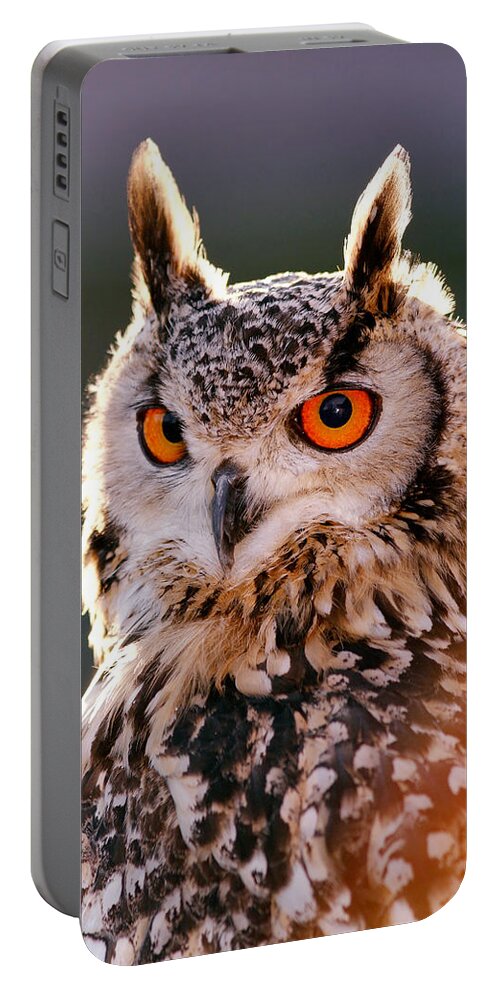Adult Portable Battery Charger featuring the photograph Backlit Eagle Owl by Roeselien Raimond