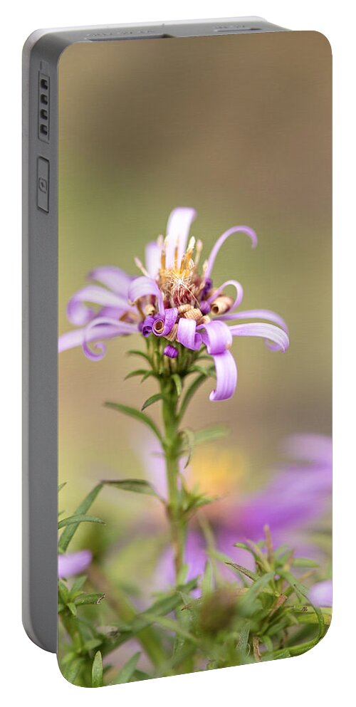 Flower Portable Battery Charger featuring the photograph Bad Hair Day by Sandra Parlow