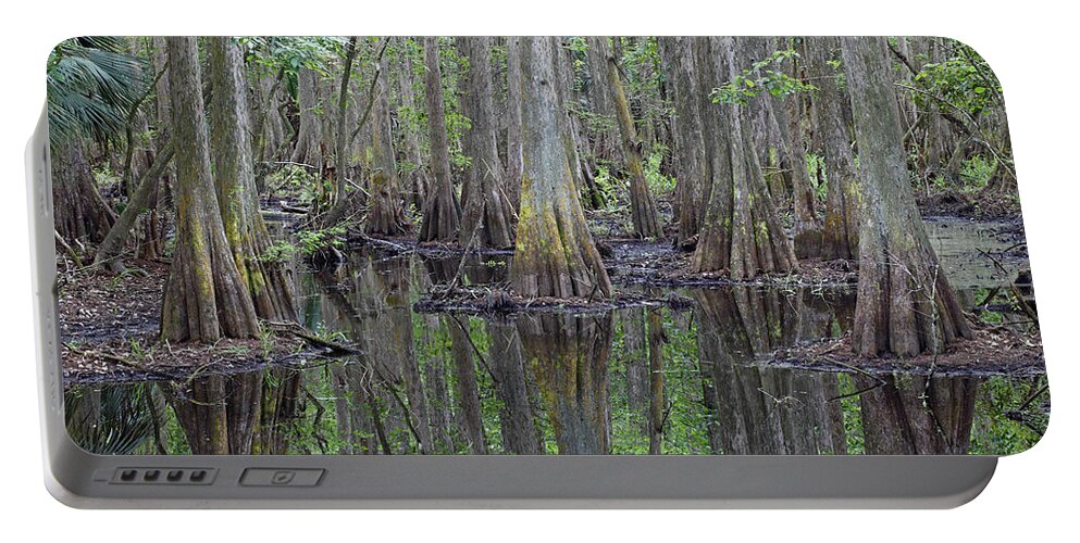 Feb0514 Portable Battery Charger featuring the photograph Bald Cypress Swamp Florida by Scott Leslie