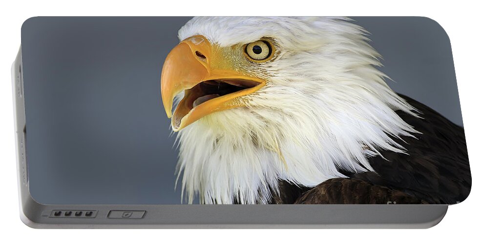 Animal Portable Battery Charger featuring the photograph Bald Eagle 2 by Teresa Zieba