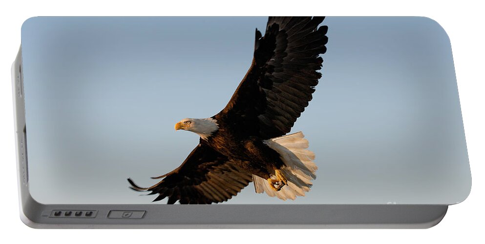 Animal Portable Battery Charger featuring the photograph Bald Eagle Flying with Fish in its Talons by Stephen J Krasemann