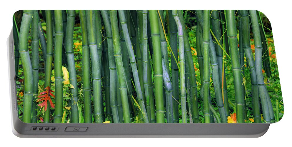 Landscape Portable Battery Charger featuring the photograph Bamboo Greens by Marco Crupi