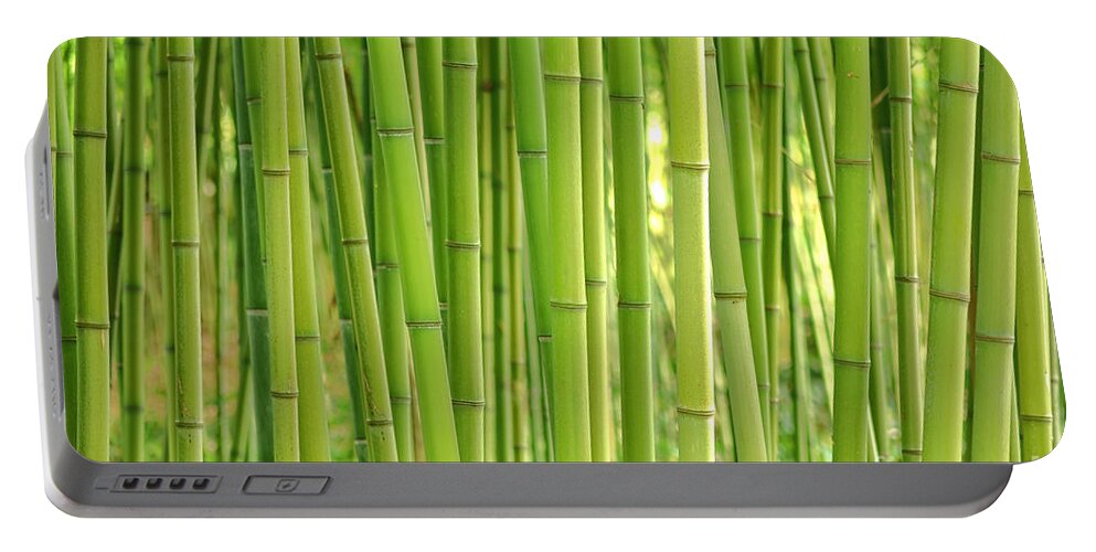 Bamboo Portable Battery Charger featuring the photograph Bamboorama by Olivier Le Queinec