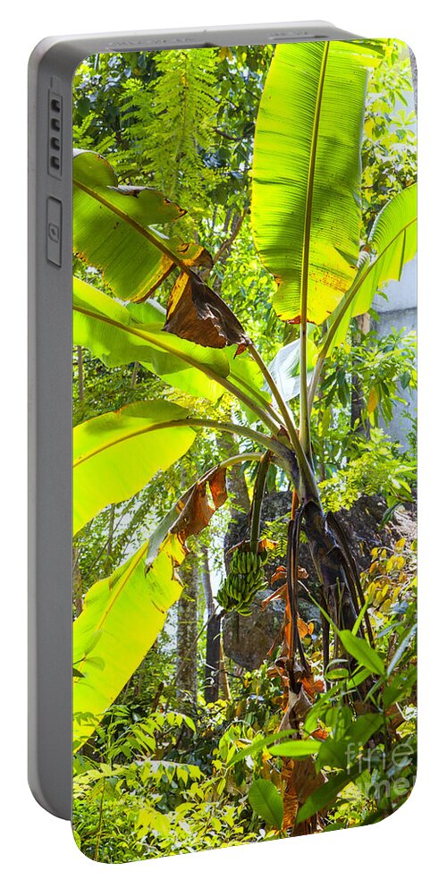 Banana Portable Battery Charger featuring the photograph Banana Palm Tree With Luminous Shine by Gina Koch